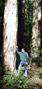 Howard in trees